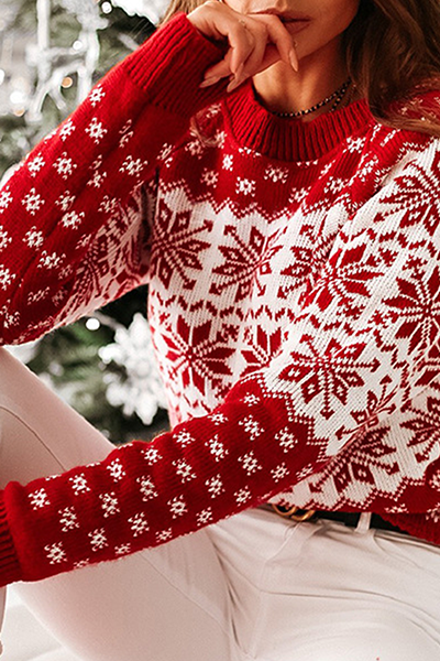 Casual Snowflakes Contrast O Neck Tops Sweater