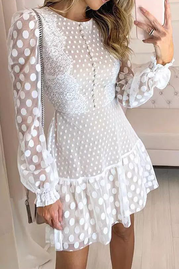 Elegant Polka Dot Lace Flounce O Neck Waist Skirt Dresses