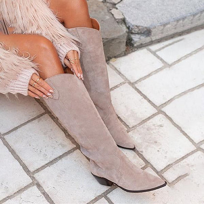 Women's Fashion Pointed Toe Suede Chunky Heel High Boots 82811860C