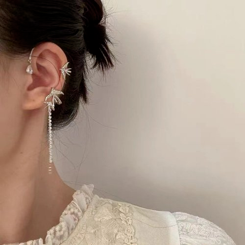 Zircon tassel earrings